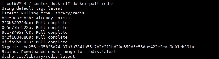 docker_pull